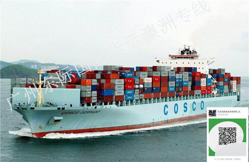 关于新加坡国际海运查货相关问题