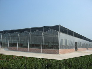 砖钢结构日光温室