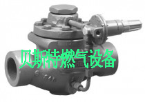 供应日本KAGLA神乐200REX气化器LPG气化炉300REX水浴式汽化器