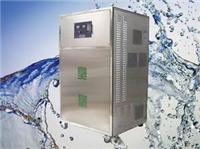 供应水处理臭氧发生器 污水处理成套设备 维斯特sw-015 批发价格