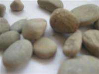 供应园艺用3-5cm鹅卵石
