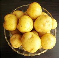 供应土豆香精 炸薯条香精）；优质食品添加剂
