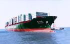 青岛--迪拜国际海运|中东-印巴航线|青岛优势货代|一级代理