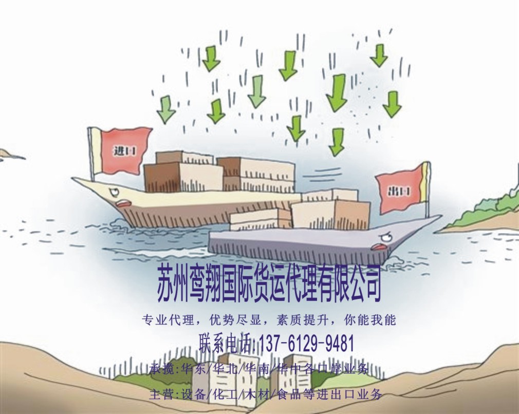 供应上海木材进口代理/上海木材进口海运代理