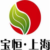 上海宝恒能源材料股份有限公司