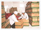 常年大量供应优质乐陵红枣及枣制品并提供代收代销代加工一条龙业务