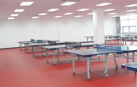 塑胶地板价格表 乒乓球室地板 乒乓球室塑胶地板