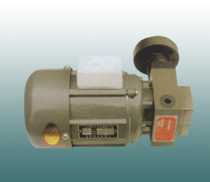 供应ZCB-2.2润滑油泵