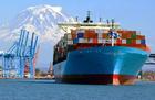 供应青岛-太子港国际海运|中南美航线|货运代理|冻柜|优势货代