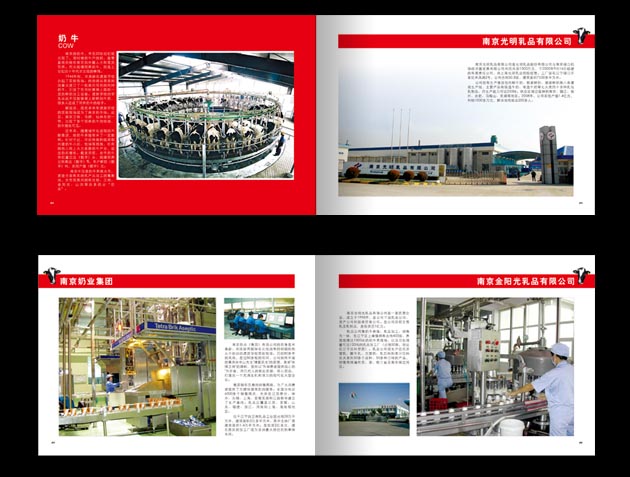 南京市区宣传三折页设计、四折页设计印刷、单页印刷设计中