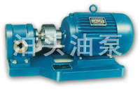 鸿海泵业 专业定制2CY系列齿轮泵 高硬度耐磨泵