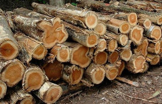 供应巴基斯坦原木木材进口清关代理