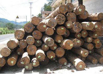 原木木材勒流进口报关清关代理