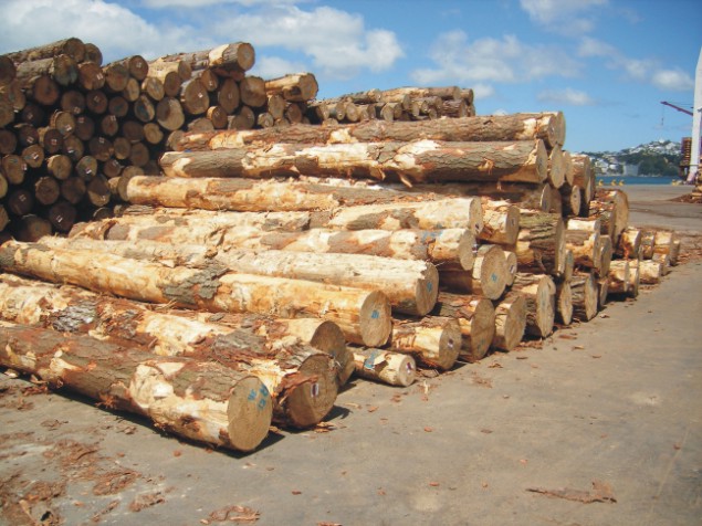 橡胶木 大红酸枝 大果盾木原木进口报关清关堆场提供代理