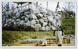 供应桂林石笼网生产，贵港石笼网销售，北海石笼网报价