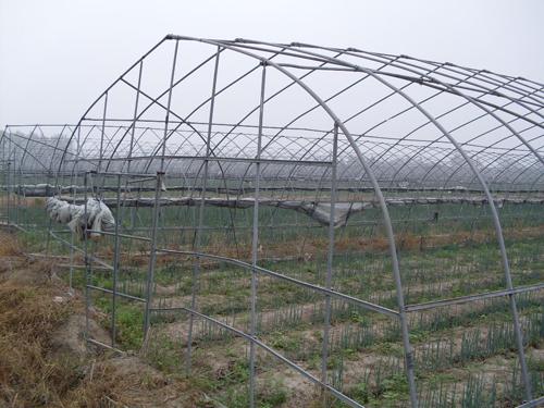 供应种植大棚骨架，河南郑州大棚骨架机，蔬菜温室大棚骨架机