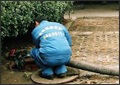 供应上海闵行区大型管道清洗 污水管道疏通 环卫抽粪 高压清洗管道