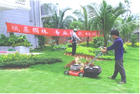 上海绿化养护公司 苏州绿化工程公司 浦东绿化公司