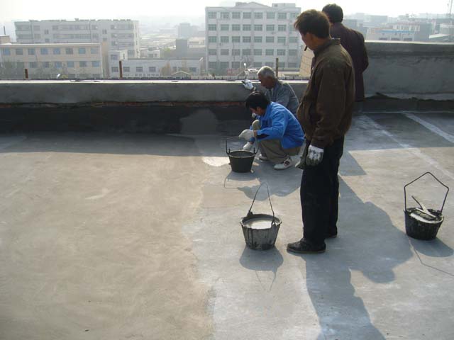 供应上海卷材做防水 上海屋面做防水公司