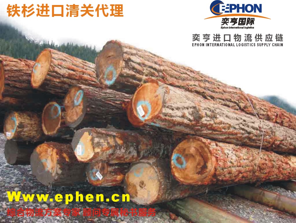 上海港木材进口清关|进口木材报关代理