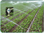 供应优质的节水灌溉产品