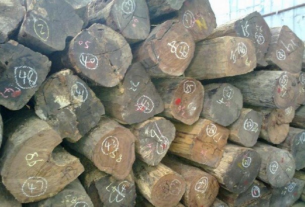 上海木材进口清关服务打折了！只需要3000一条柜|专业清关公司