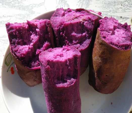 供应紫薯种子德国黑薯种子种苗