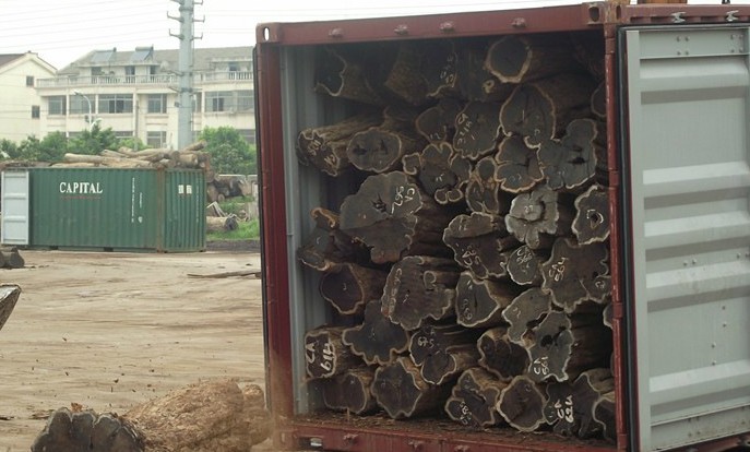 上海港木材报关服务|上海木材代理|代理进口木材报关