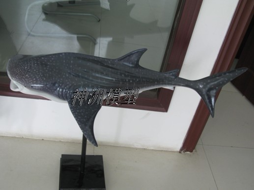 供应海洋生物模型鲸鲨模型鲨鱼模型