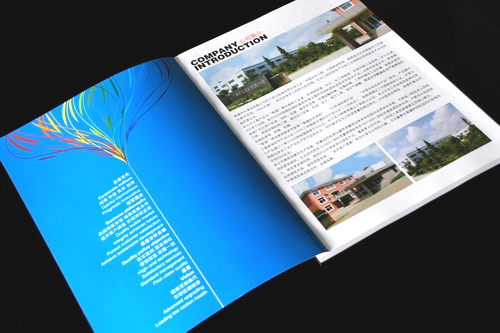 供应扬州地区楼盘广告画册设计彩色印刷