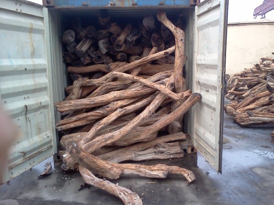 木材进口流程|进口木材报关代理|上海木材清关