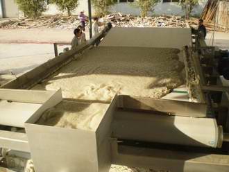 专业生产洗砂设备 带式洗砂压滤机 厂家直销 广州绿泰环保机电