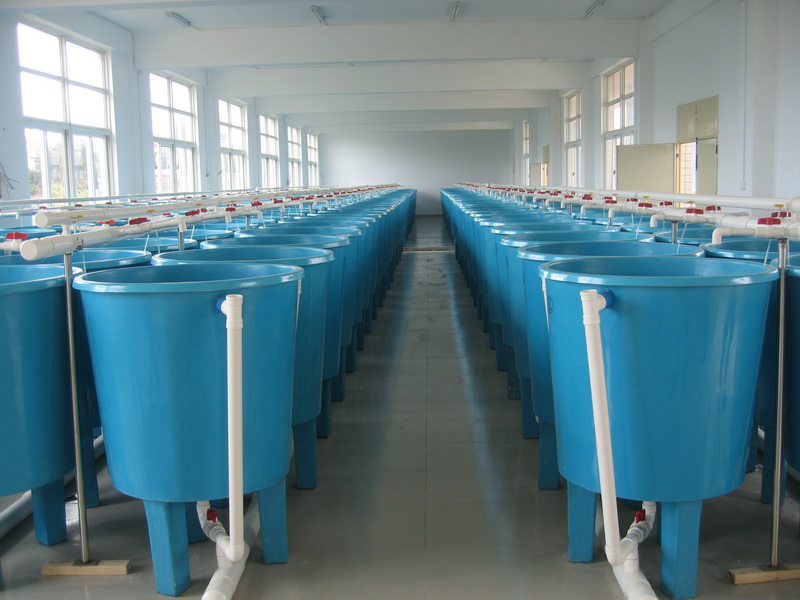 广东孵化桶厂直供水产养殖孵化桶鲟鱼孵化桶玻璃钢孵化桶