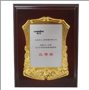 2011龍工叉車銷售三等獎