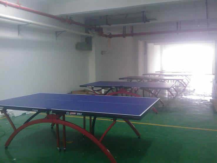 武汉乒乓球台上海红双喜湖北总代理送货安装售后一条龙批发