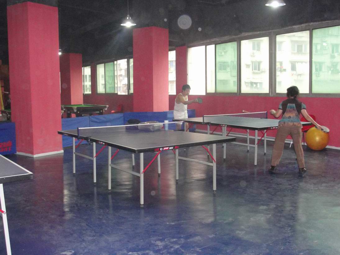 供应武汉乒乓球台红双喜双鱼厂家买五台送一台优惠中T3526