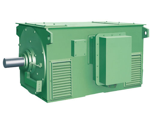 Y500-4 900KW 6.3KV水泵电机