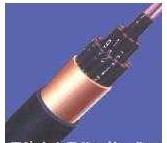 供应BPFFP2 氟46绝缘和护套铜带绕包屏蔽耐高温变频电力电缆