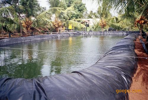 供应藕池防渗膜价格“1.2mm土工膜”藕池塘