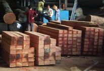 木材进口清关需要提供的商检手续有哪些|办理木材进口手续递交哪个部门