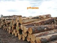 供应黄埔海关处理濒危证）木材进口审单流程要多长时间