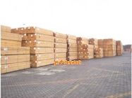 供应广东进口木材二程船木材进口清关代理商检安全渠道