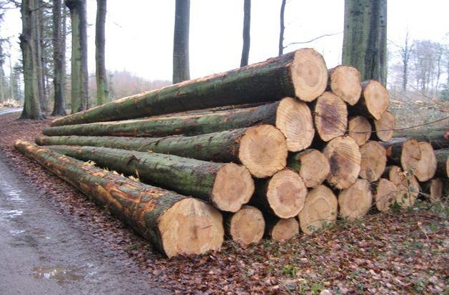 供应欧美进口木材相关单证的流通渠道及相关木材进口手续