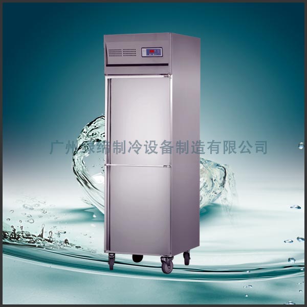 厨房设备两门冰箱 厨房柜/冷藏/冷冻/正品联保/冰柜/商用冰箱立式