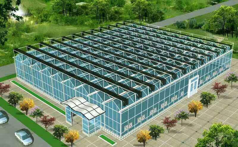 建造一亩地樱桃温室大棚需要价格 樱桃大棚建设厂家价格