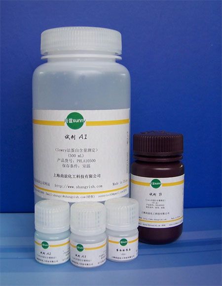 供应Lowry法蛋白含量检测试剂盒