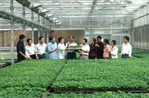 潍坊*的蔬菜种植技术员专业培训机构是哪家：蔬菜种植技术员专业培训价格