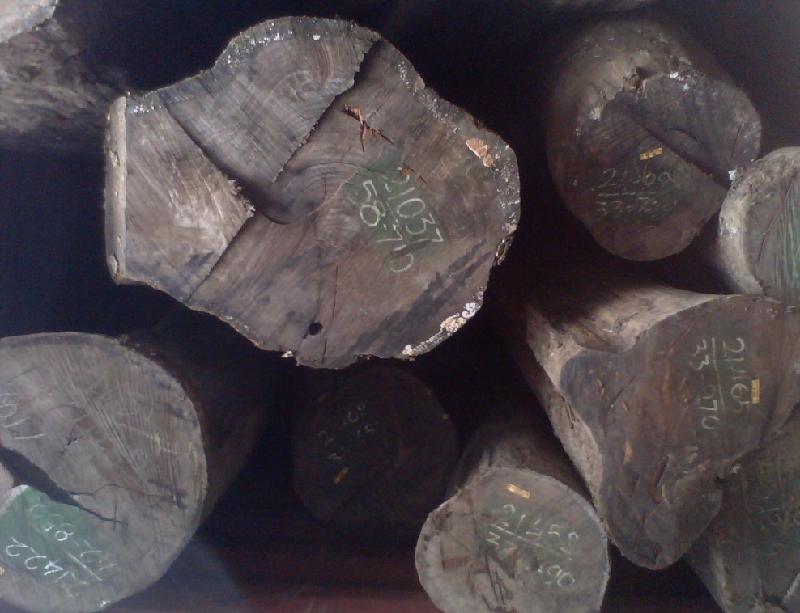 供应进口菲律宾-缅甸/柬埔寨木材濒危证在办理
