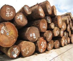 供应佛山/珠海进口越南木材的海运报关流程