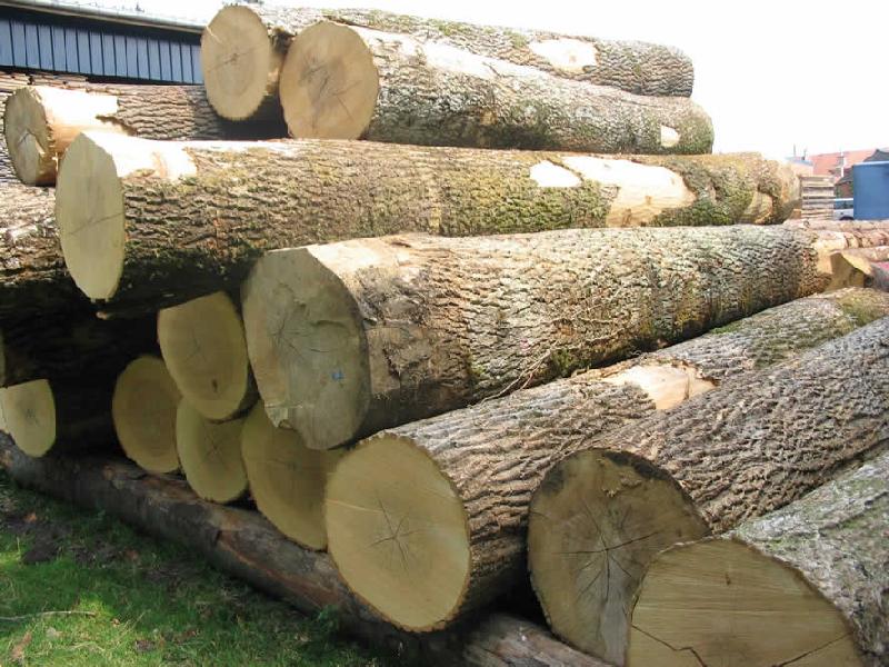 供应加蓬-刚果）/加拿大木材进口濒危证在办理